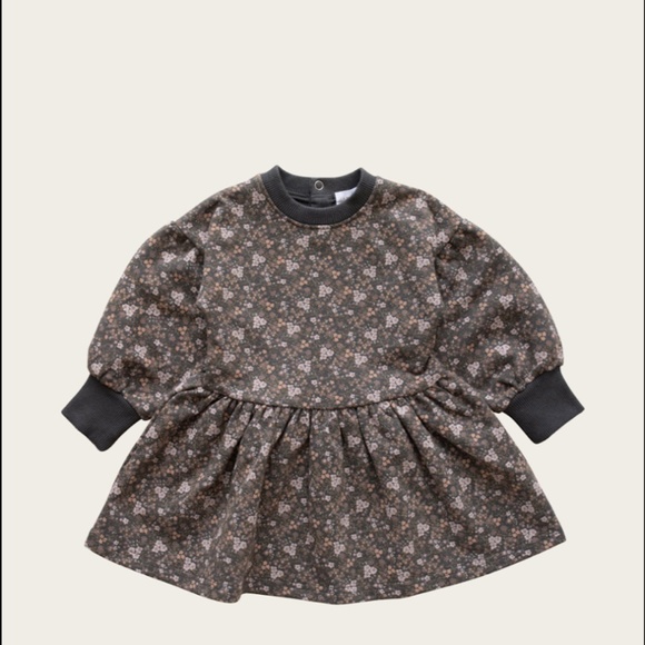 Jamie Kay Other - Jamie Kay Sweatshirt Dress Organic Cotton Blossom Dress - Peony Floral